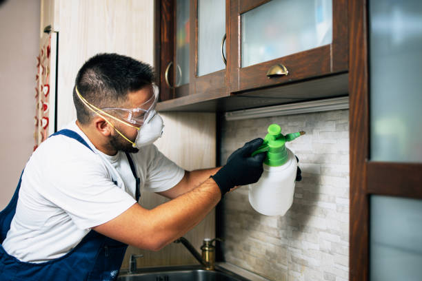 Best Termite Control Services  in Bartlett, IL