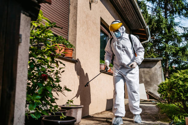 Pest Control for Restaurants in Bartlett, IL