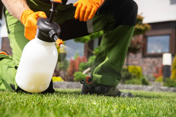Flea Control Services in Bartlett, IL