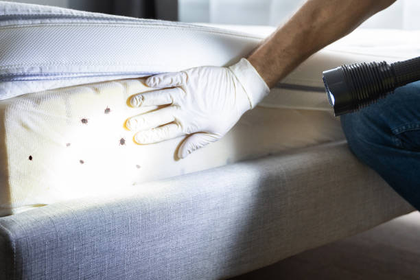 Professional Pest Control in Bartlett, IL