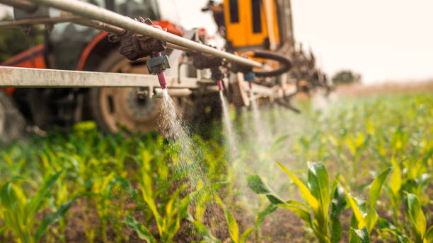 Wasp Removal Services in Bartlett, IL