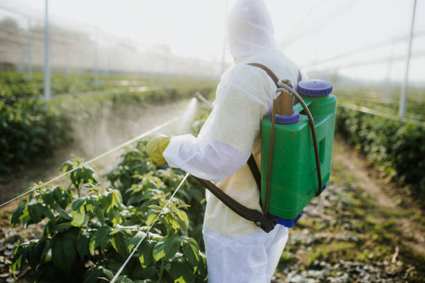 Best Cockroach Control Services  in Bartlett, IL